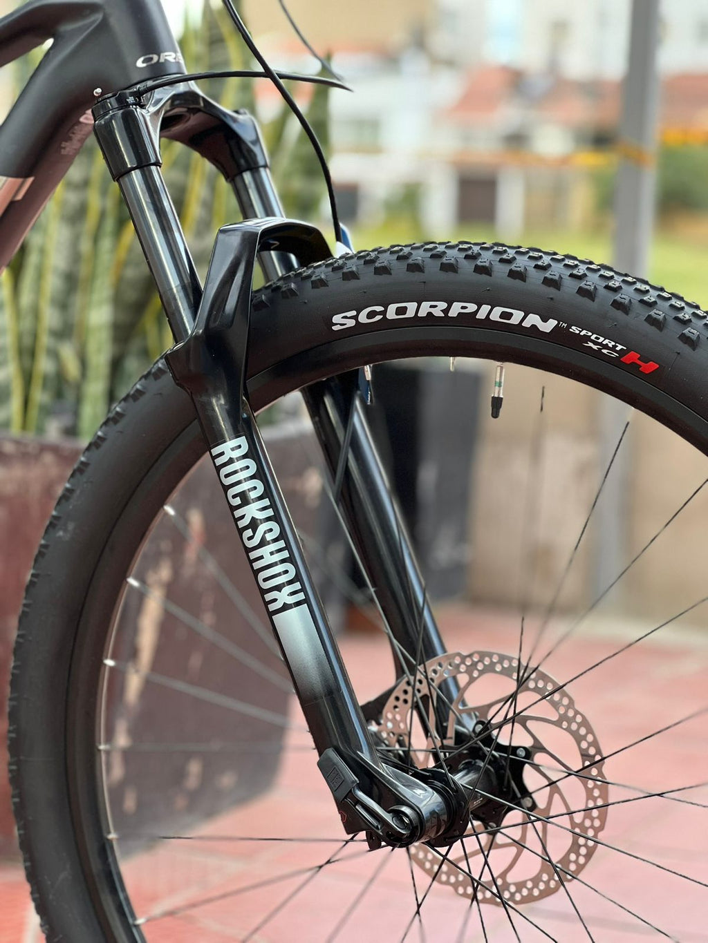ORBEA ALMA M50 2026