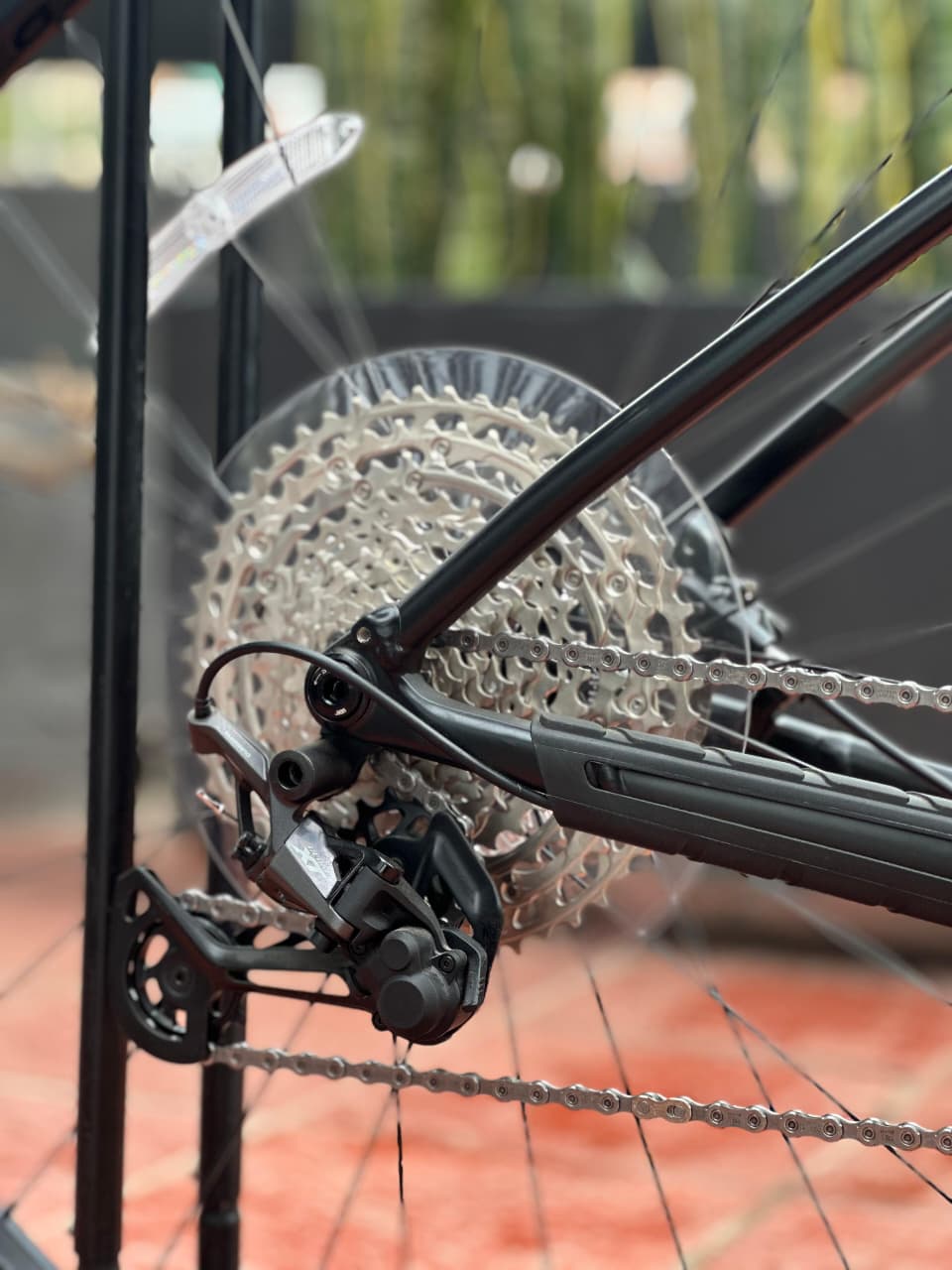 TREK PROCALIBER 6 2026
